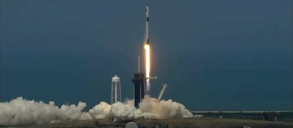 Илон Маск принимает поздравления и зарабатывает баллы для Трампа - Sputnik Грузия