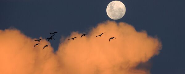 სავსე მთვარე - Sputnik საქართველო