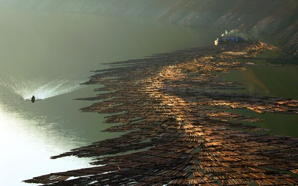 Снимок Сплав людей по реке Ялу китайского фотографа Чжоуфана Цуйа, занял второе место в категории Портфолио  - Sputnik Грузия