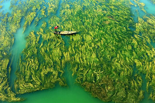 Победа в номинации Мобильная фотография присуждена индийскому фотографу Апратиму Палу, который изобразил рыбака, преодолевающего на своей лодке плен из тины и водорослей - Sputnik Грузия