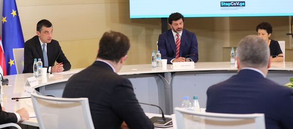 Антикризисный бюджет Грузии: власти пересматривают приоритеты   - Sputnik Грузия