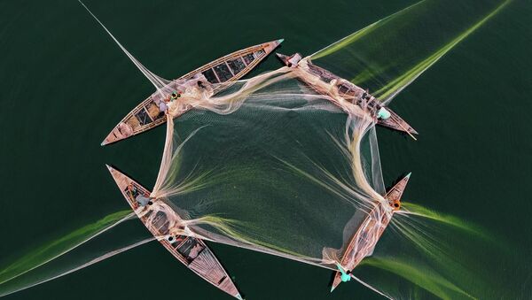 ბანგლადეშელი აბდულ მომინის ნამუშევარი „თევზაობა ჯამუნზე“   - Sputnik საქართველო