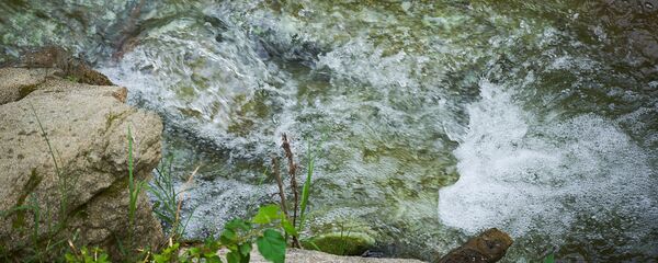 მთის მდინარე - Sputnik საქართველო