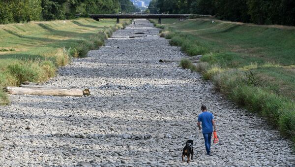 Человек гуляет со своей собакой по пересохшему руслу реки Драйзам - Sputnik Грузия