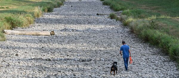 Человек гуляет со своей собакой по пересохшему руслу реки Драйзам - Sputnik Грузия