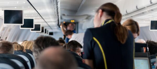Стюардесса в салоне самолета - Sputnik Грузия