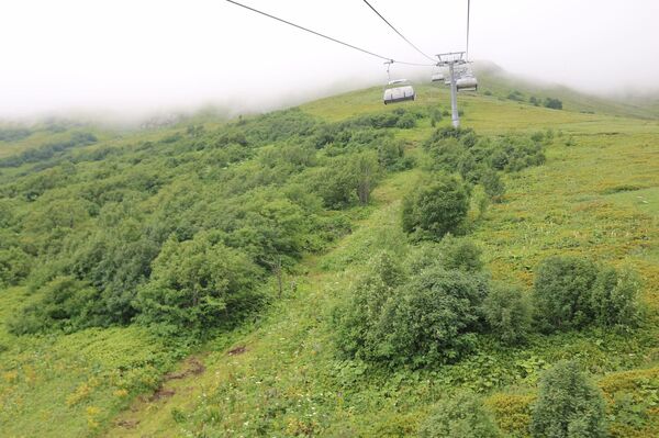 თუ ბაკურიანში დასვენებას გეგმავთ: რა წესებს უნდა დაემორჩილოთ სასტუმროში თუ ბაკურიანში დასვენებას გეგმავთ: რა წესებს უნდა დაემორჩილოთ სასტუმროში - Sputnik საქართველო