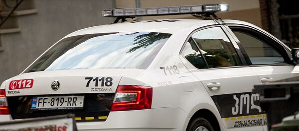 საპატრულო პოლიცია საპატრულო პოლიცია - Sputnik საქართველო