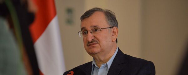 რომან გოცირიძე რომან გოცირიძე - Sputnik საქართველო