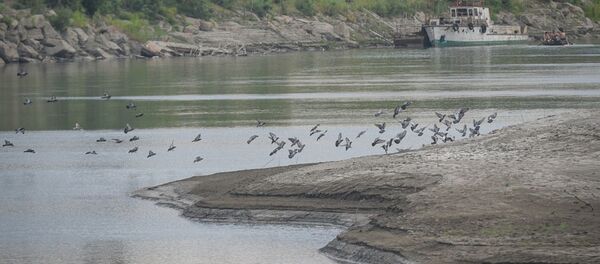 Уровень воды в Куре продолжает падать - Sputnik Грузия