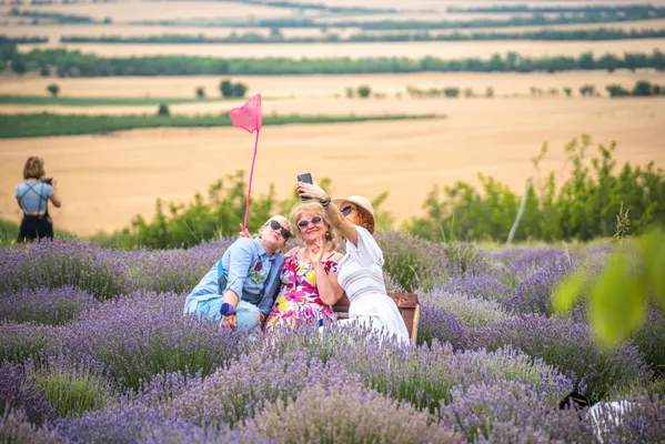 248886085_0:0:3067:2047_600x0_80_0_1_902