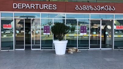 Международный аэропорт Тбилиси