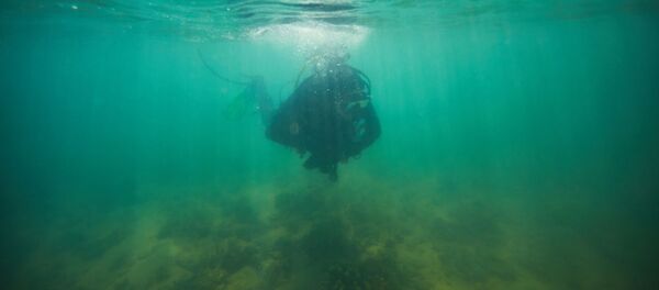 Исследователи ищут подводные артефакты в Австралии Исследователи ищут подводные артефакты в Австралии - Sputnik Грузия