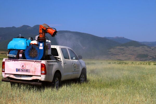 В Шида Картли приступили к борьбе с саранчой - Sputnik Грузия