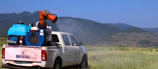 В Шида Картли идет борьба с саранчой - Sputnik Грузия