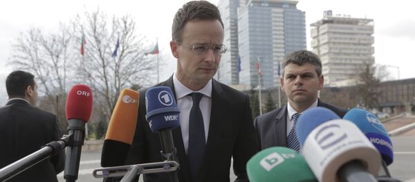 Глава МИД Венгрии Питер Сийярто беседует с журналистами  - Sputnik Грузия