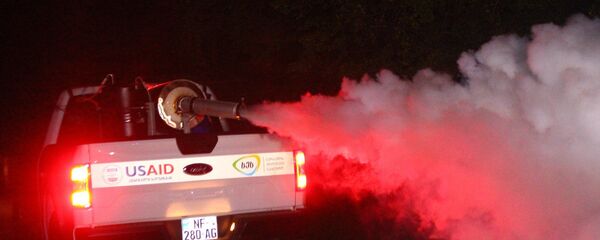 Борьба с мраморными клопами в Грузии не утихает и ночью - Sputnik Грузия