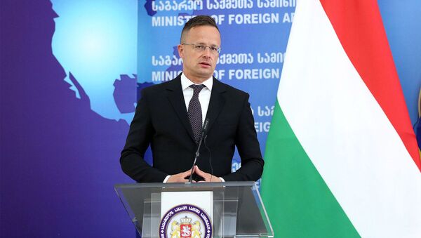 Министр иностранных дел и торговли Венгрии Петер Сийярто в ходе официального визита в Грузию - Sputnik Грузия