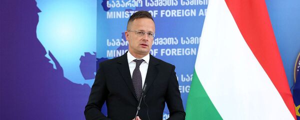 Министр иностранных дел и торговли Венгрии Петер Сийярто в ходе официального визита в Грузию - Sputnik Грузия