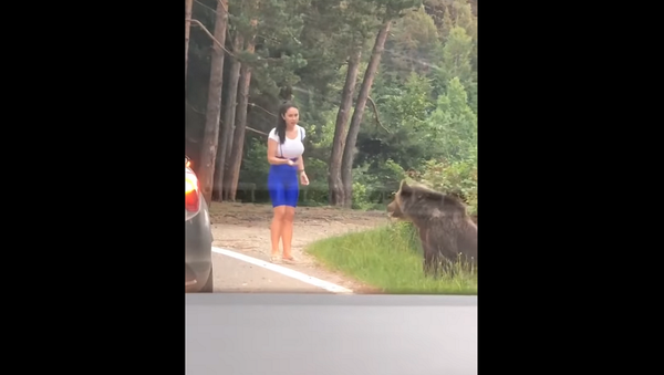 Девушка решила сделать эффектное фото с медведем у леса, но очень зря – видео - Sputnik Грузия