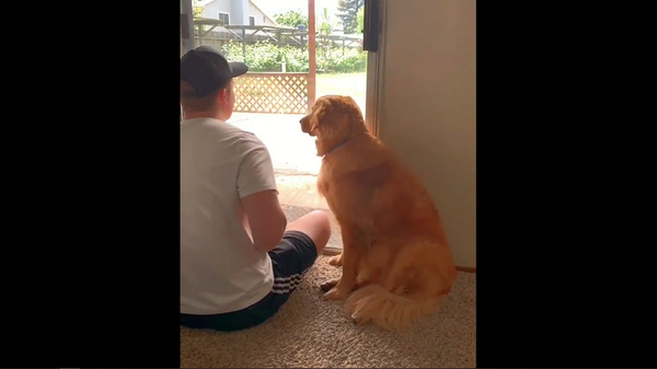 Хозяин разыграл свою собаку простым детским трюком – забавное видео - Sputnik Грузия